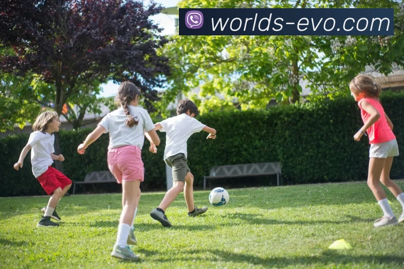 App Interface Preview