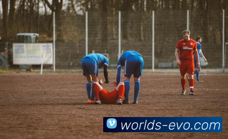 EVO真人官网APP 封面图